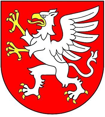 Pozycjonowanie stron Dbica